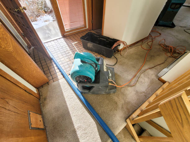 Best Ceiling water damage repair  in Clinton, UT