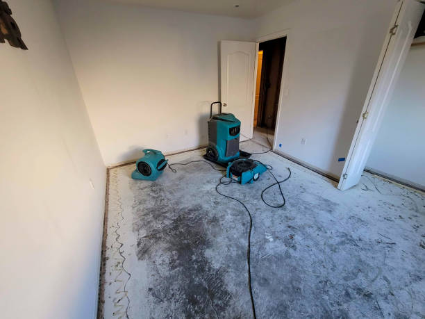 Best Commercial water damage restoration  in Clinton, UT