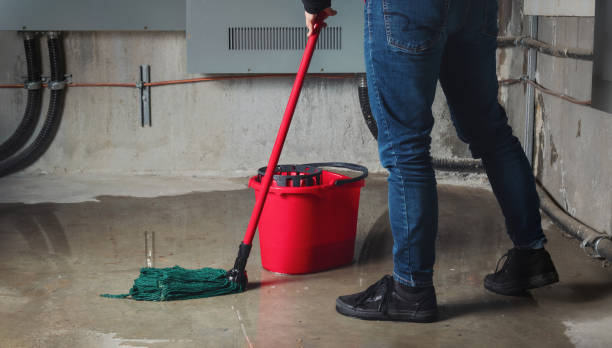 Best Local water damage restoration  in Clinton, UT