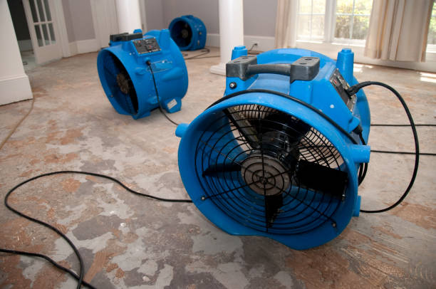 Best Water damage restoration cost  in Clinton, UT