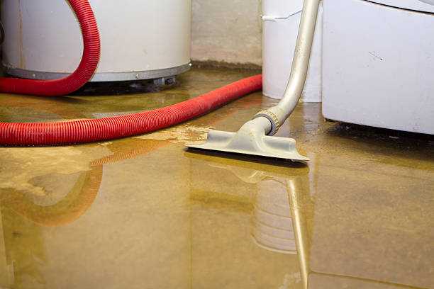Best Water damage contractors near me  in Clinton, UT