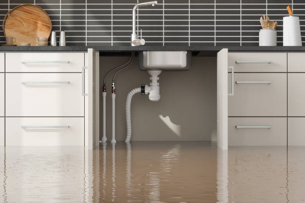  Clinton, UT Water damage restoration Pros