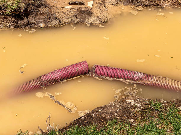 Best Water damage restoration process  in Clinton, UT