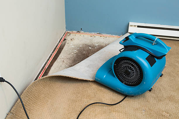 Best Ceiling water damage repair  in Clinton, UT